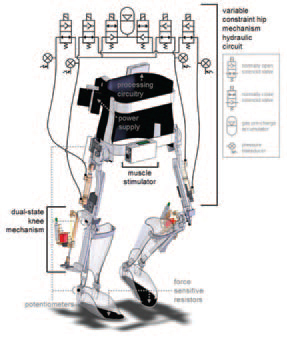 Illustration of exoskeleton