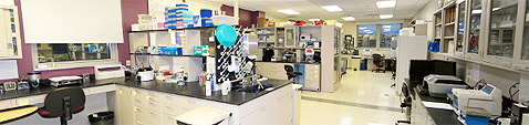 Urological Biomechanics Laboratory 