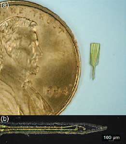 (a) Four-contact NC probe next to a penny, as a size reference. The large rectangular contact pads are at the top of the device, and the electrode contacts are near the tip of the narrow shank. (b) Close-up view of the shank of a two-contact NC probe, with the gold traces and electrode contacts visible.