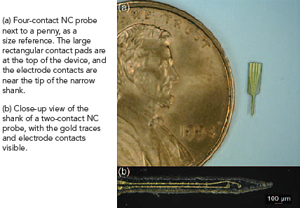 (a) Four-contact NC probe next to a penny, as a size reference. The large rectangular contact pads are at the top of the device, and the electrode contacts are near the tip of the narrow shank. (b) Close-up view of the shank of a two-contact NC probe, with the gold traces and electrode contacts visible.