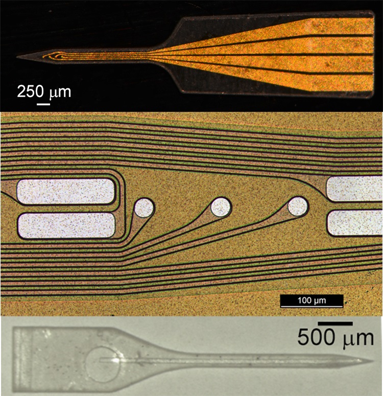 various microelectrodes