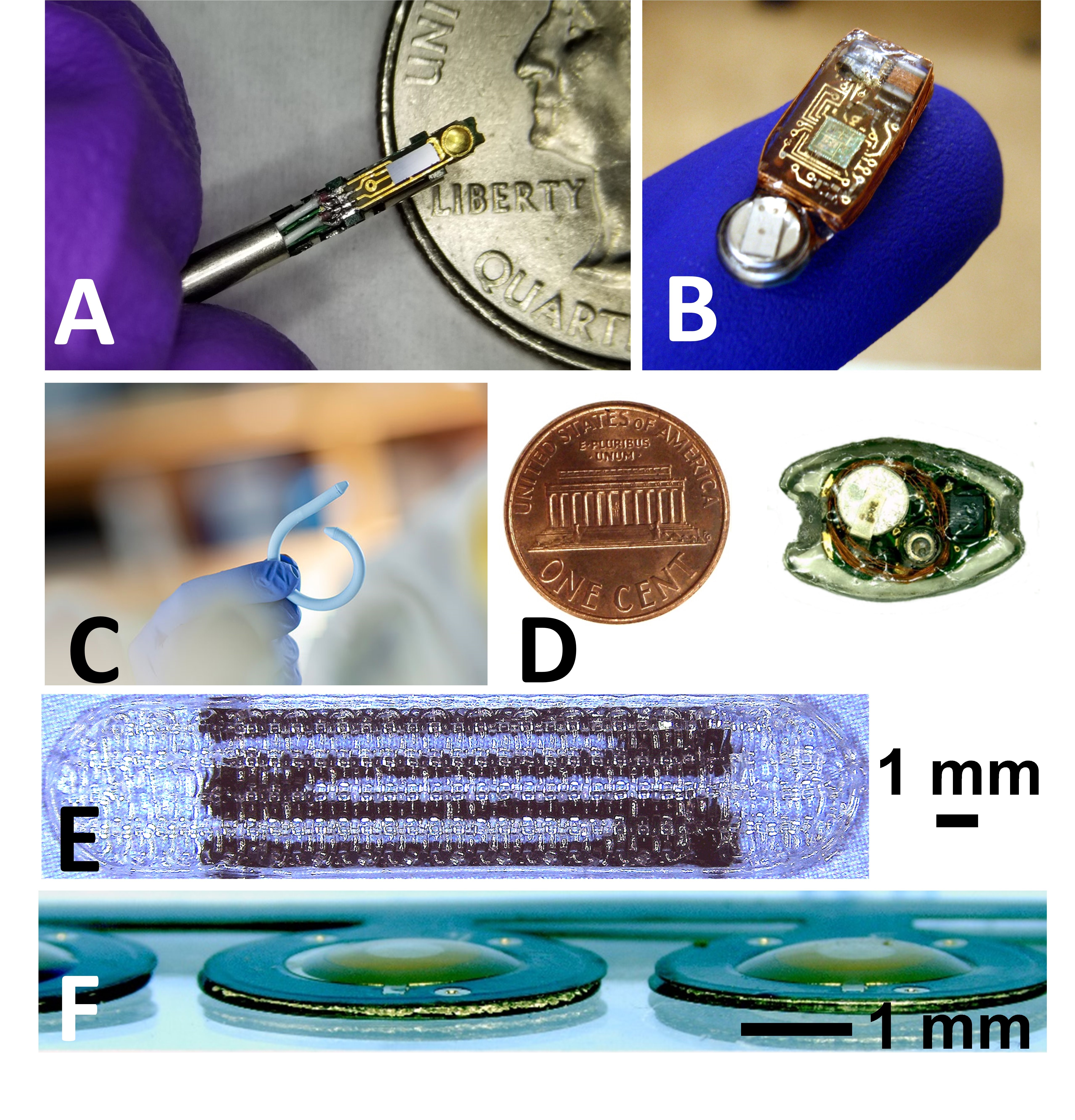 A variety of sensors used in Dr. Majerus's projects